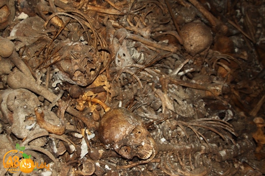 mdafenkazakhana512 (10).jpg.jpg